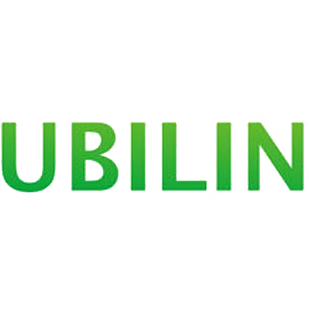 新全