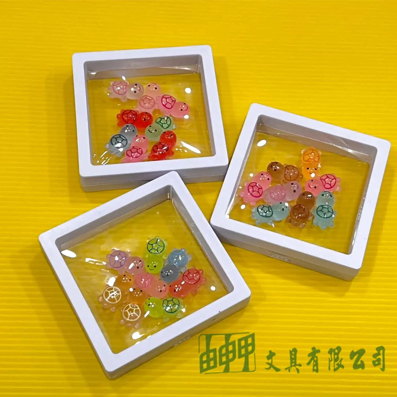    8入夜光小烏龜